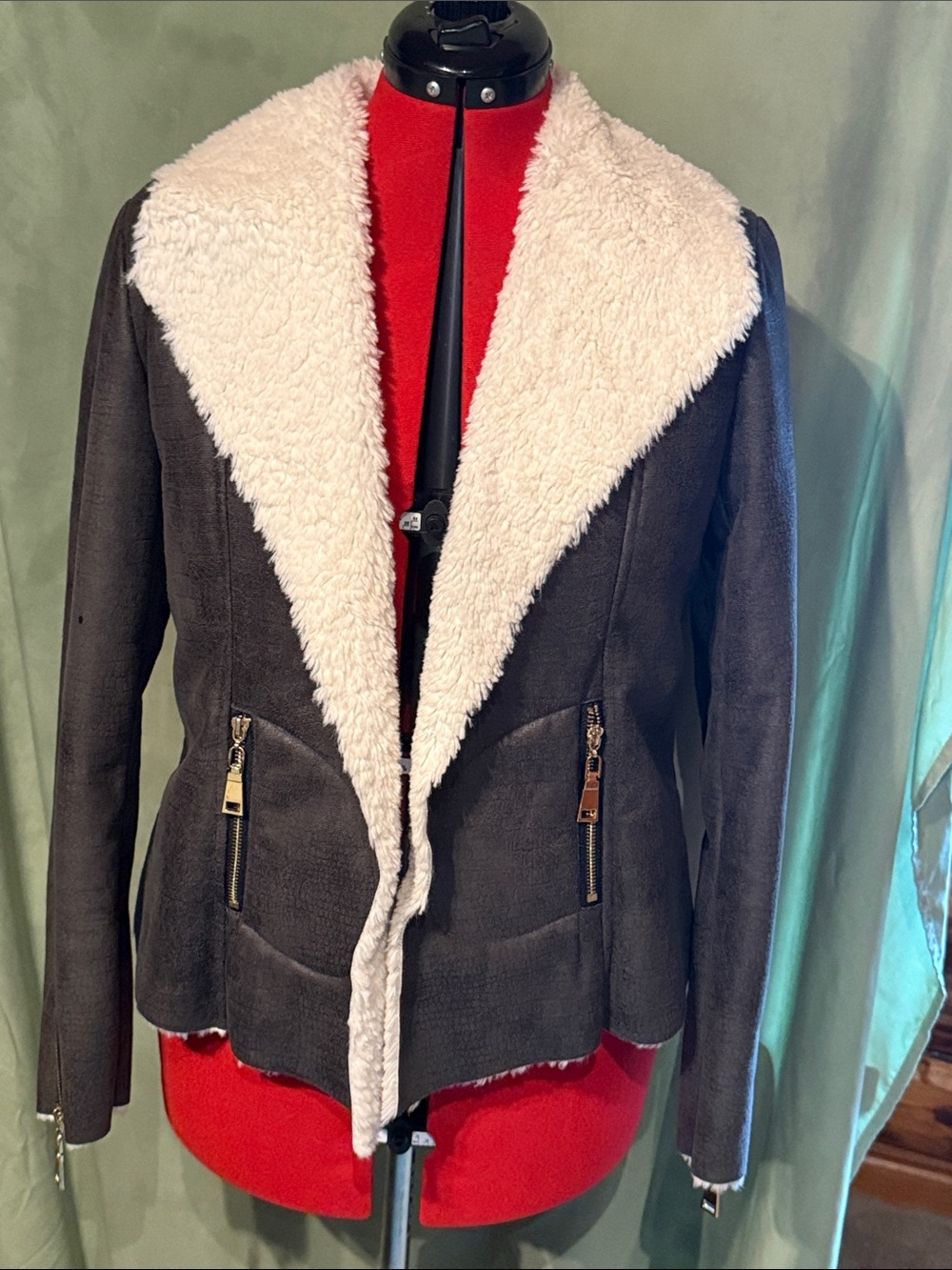 Faux Shearling Moto Jacket in Dark Gray with Cream Collar
